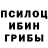 Галлюциногенные грибы мухоморы Elanna Bulgakova