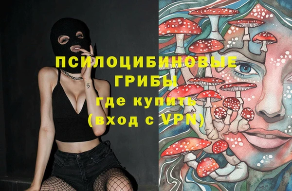 PSILOCYBIN Волоколамск